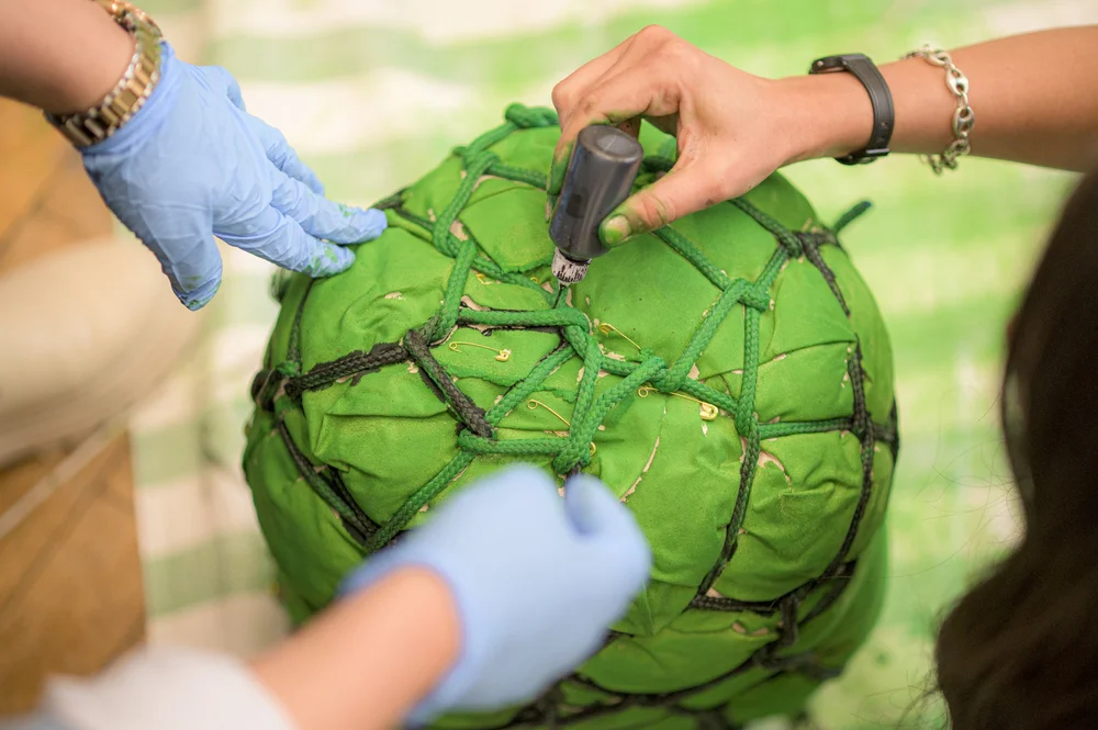 20250316 - Human Life in Motion WORKSHOP - PRIMARY HIGH-01043.JPG