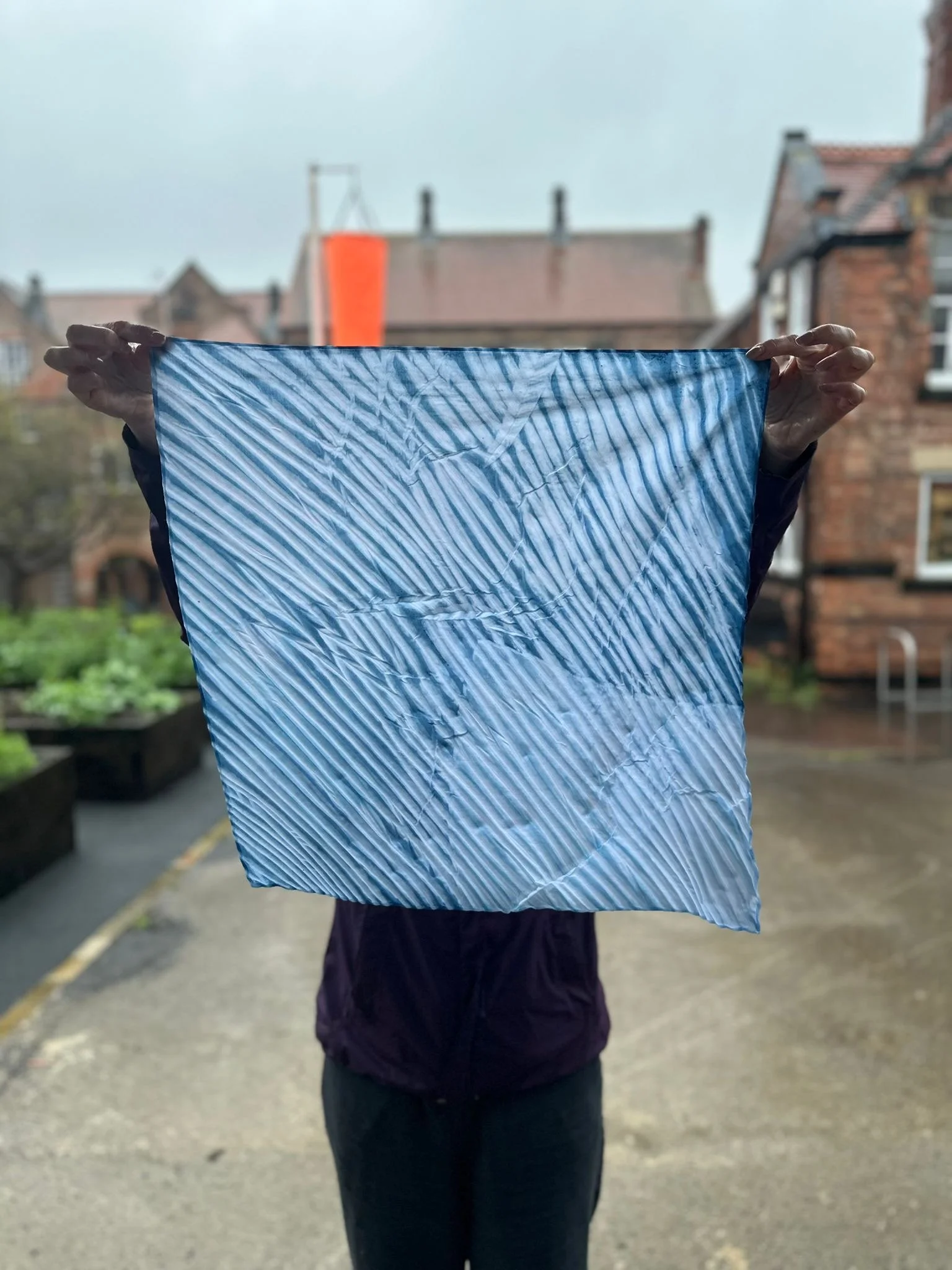 Plant Dye Studio | The Blues: Woad and Indigo