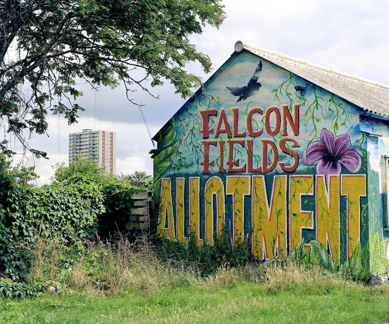 Falcon Fields Allotment © Arpita Shah