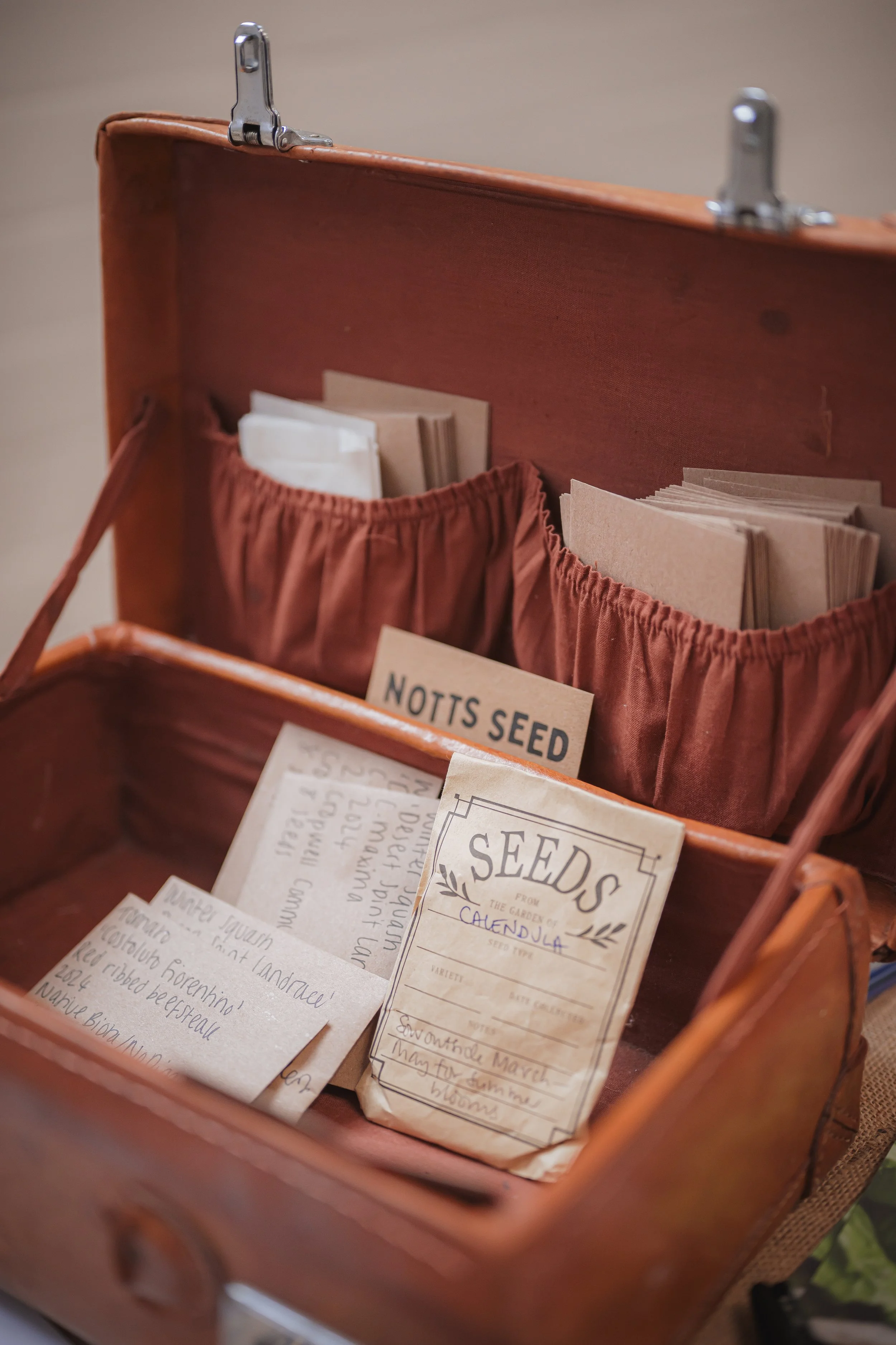A small brown old-fashioned suitcase sits open. Inside are multiple seed packets.