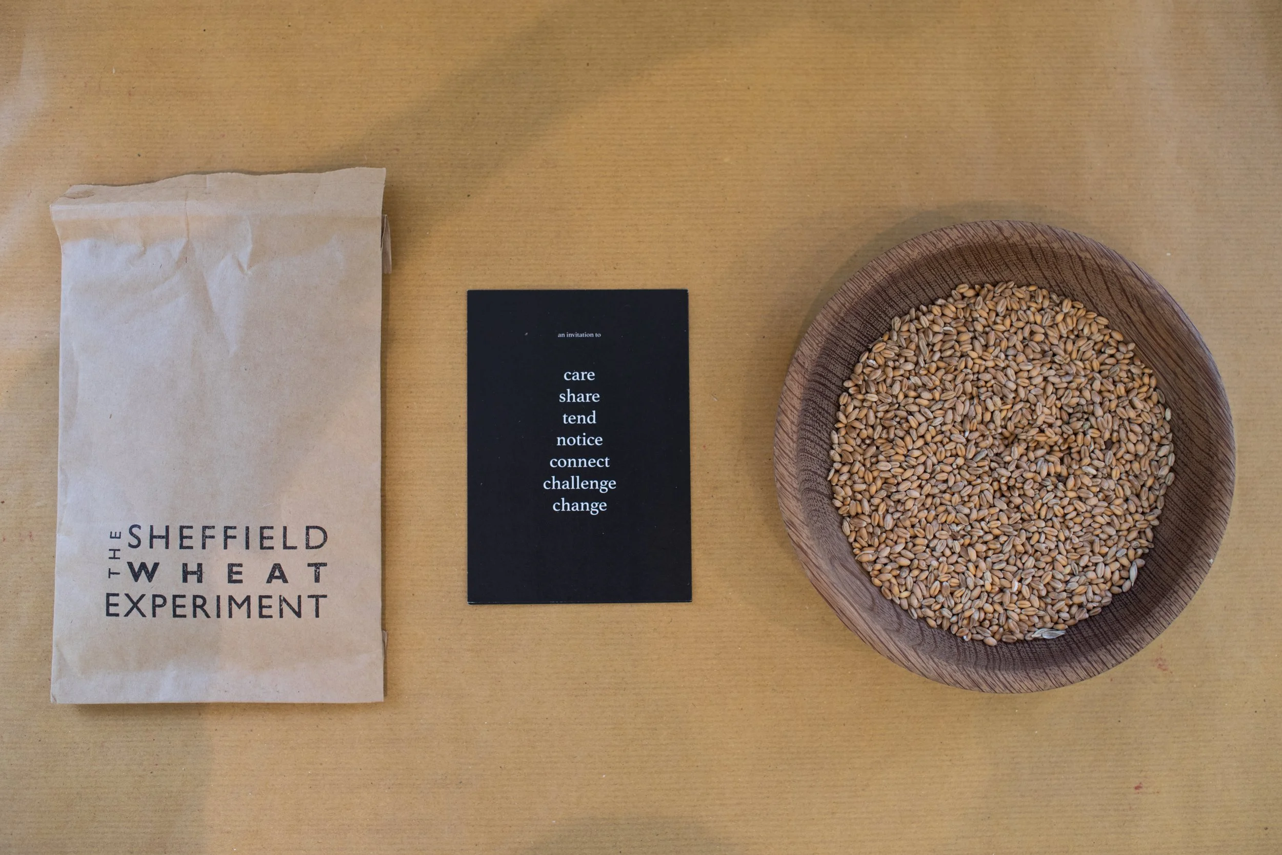 POSTPONED | Sheffield Wheat Experiment and the Population Loaf