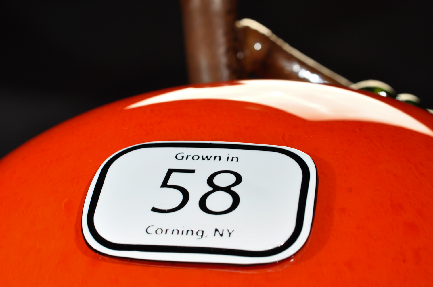 Red Apple1 Closeup.jpg