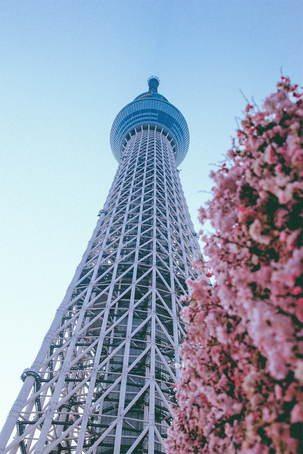 It was finally time to visit the actual SkyTree, which was a little overwhelming. 