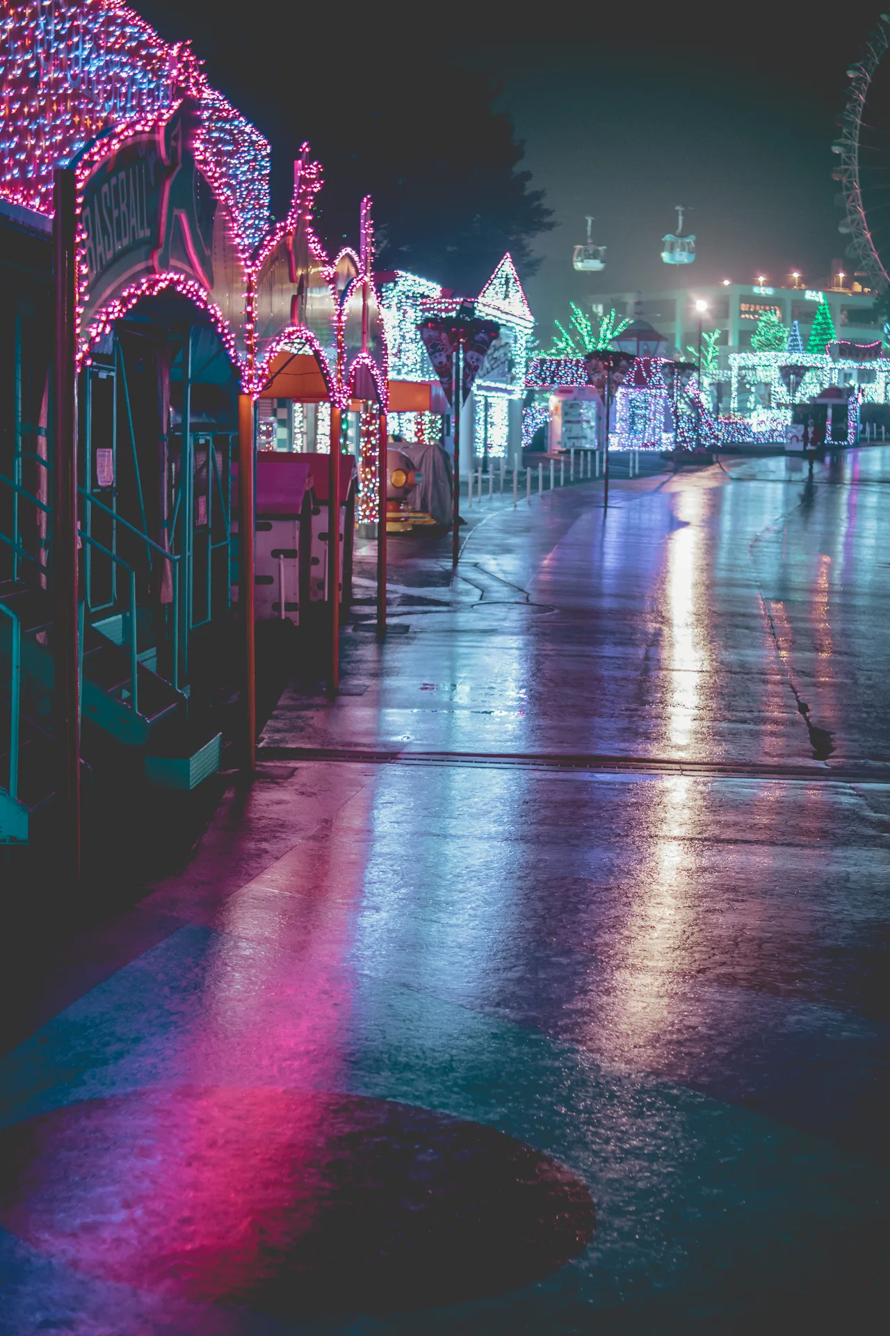_66A7569.jpg