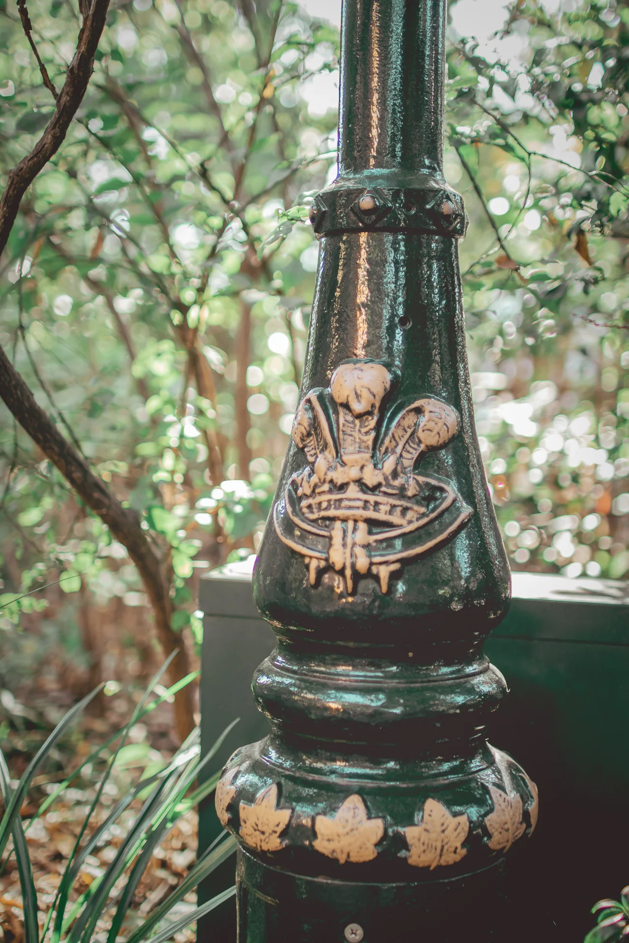 _66A6006.jpg