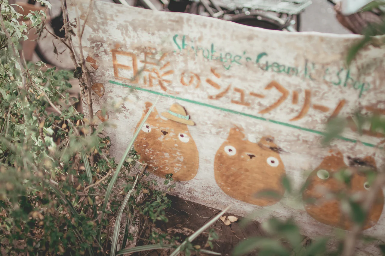 _66A6388.jpg
