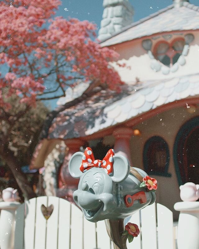 please stay home 🏠💖 #disney #disneyland #dlr #disneylandresort #toontown #minniemouse