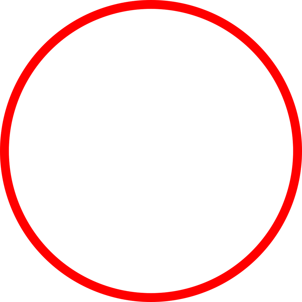 Our History