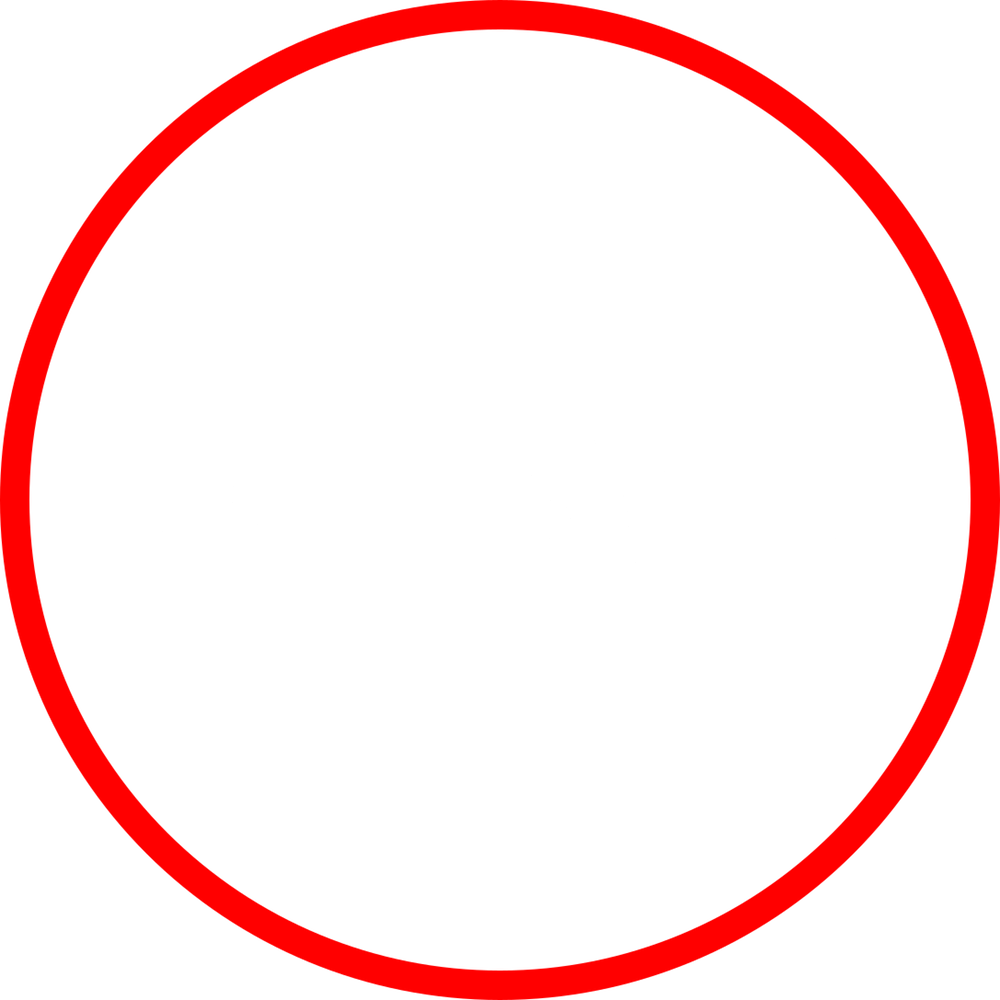 Our Insights