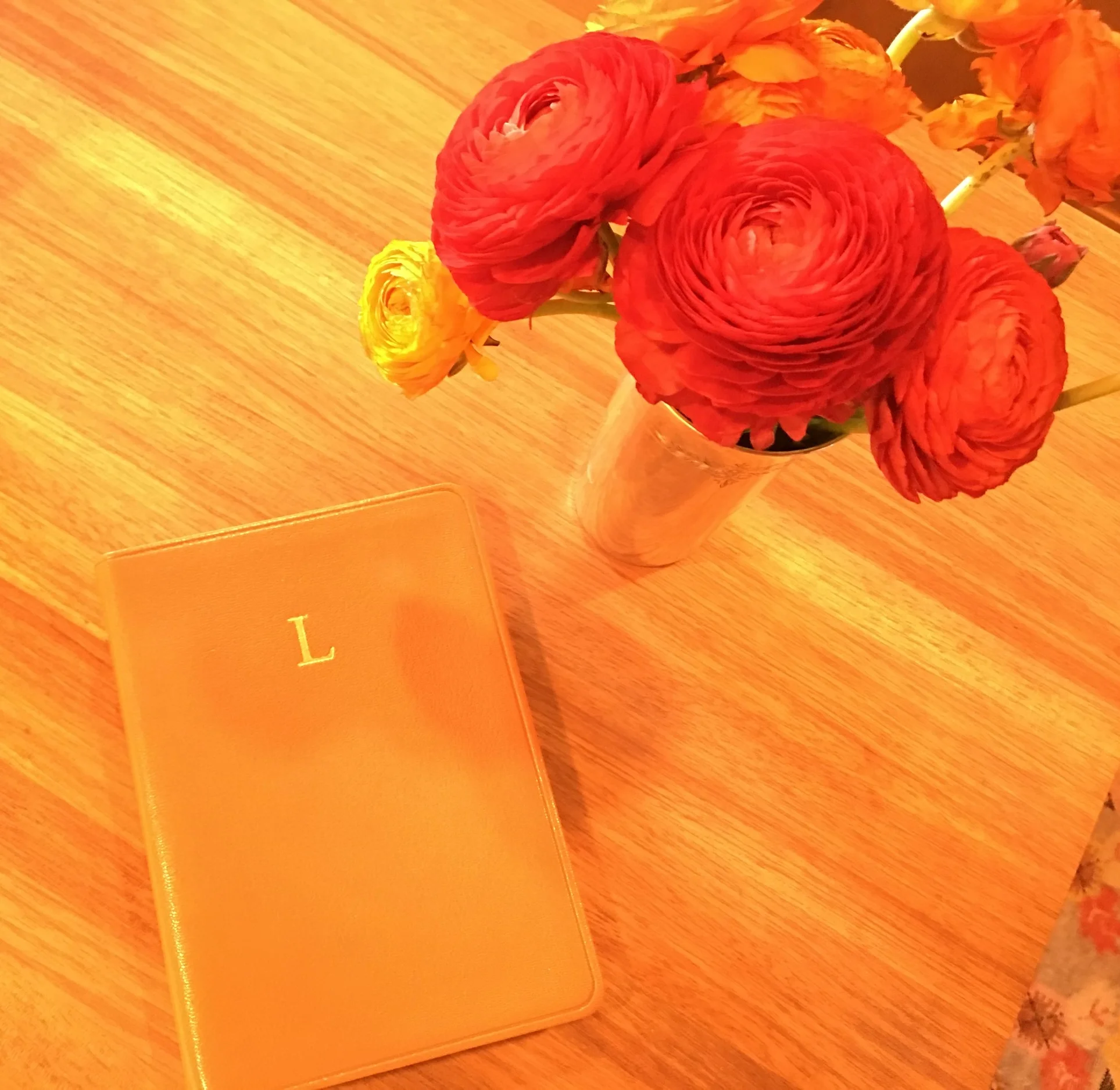 Nothing Grows in Comfort Zones