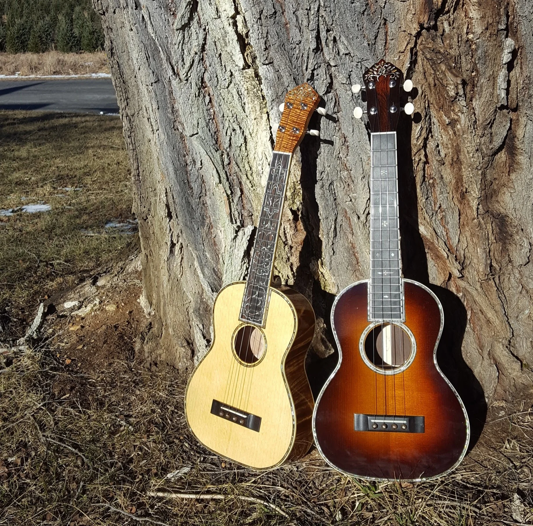 Two tenors, Koa 42 and Brazilian rosewood 45, respectively.