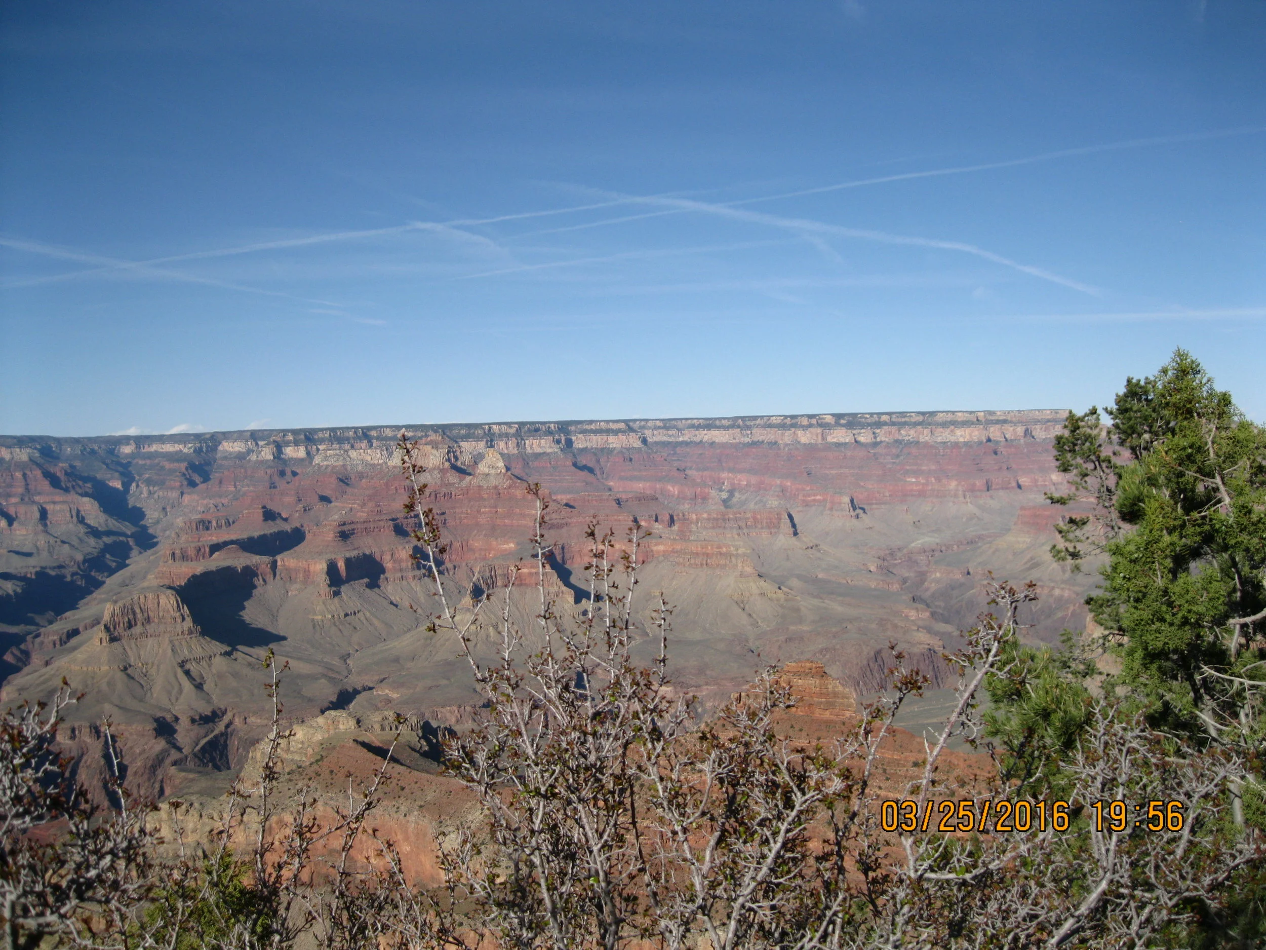 Picture of the Grand Canyon from sipra's trip this spring.