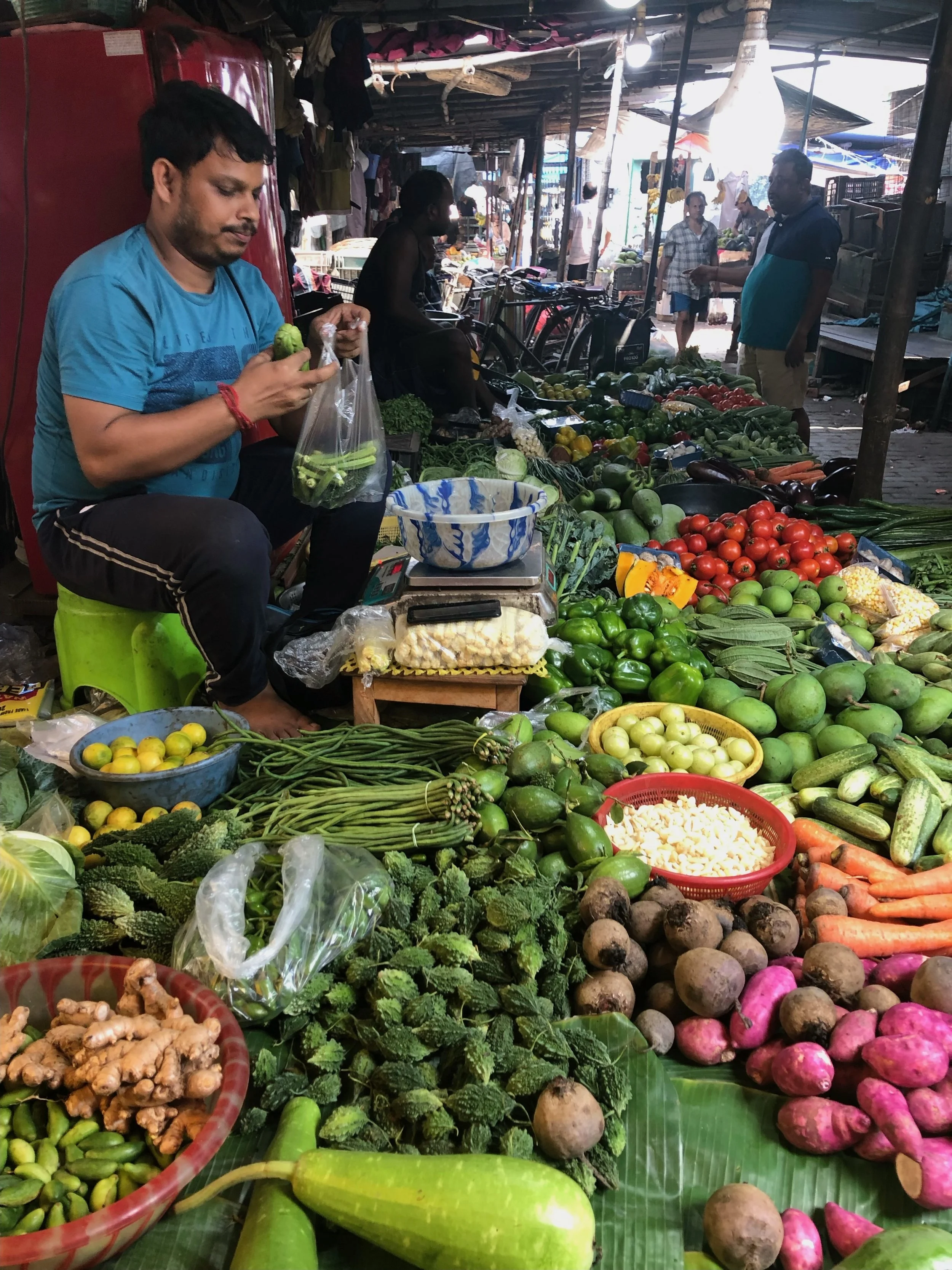 Do you recognize all the vegetables?