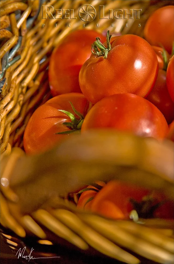 Tomatoes.jpg