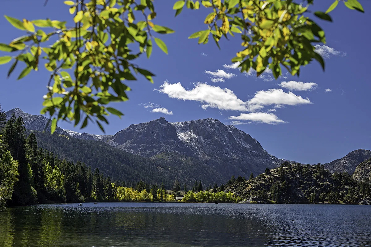 18.10.07-(Gull-Lake)-00110-(int).jpg