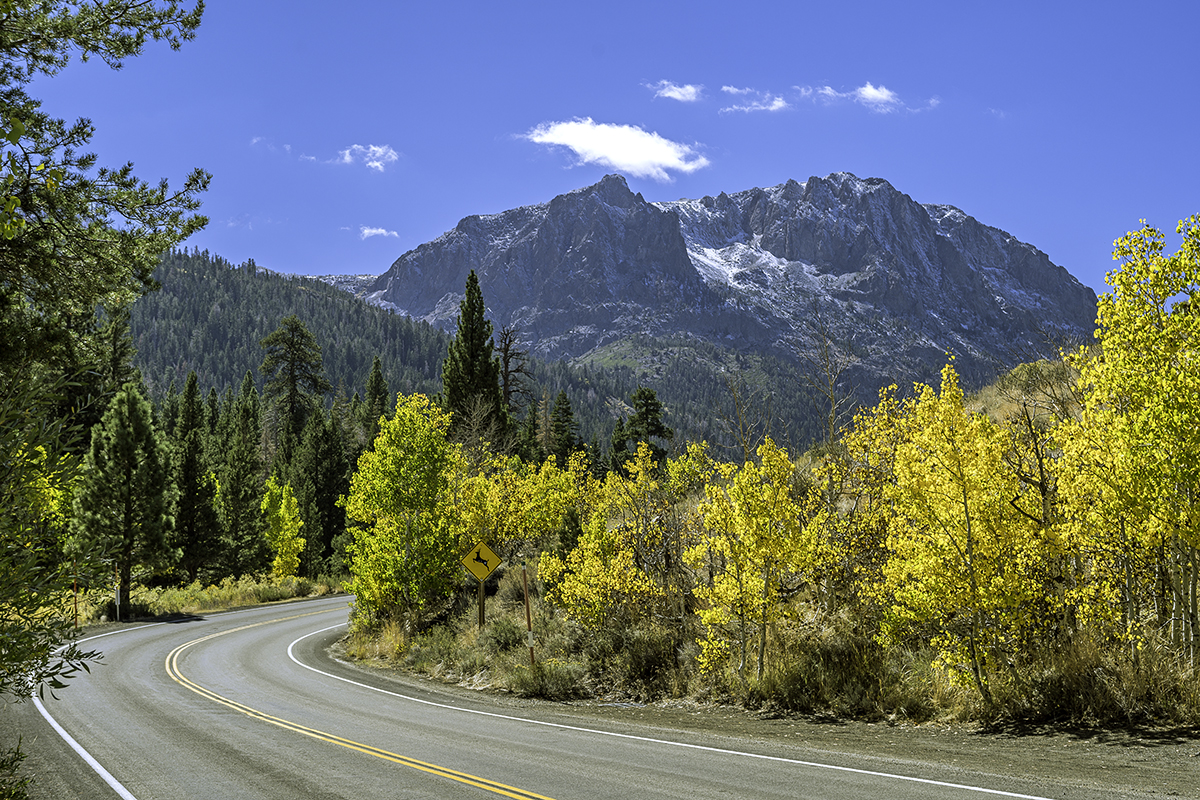 18.10.07-(June-Lake-loop)-00118-(int).jpg