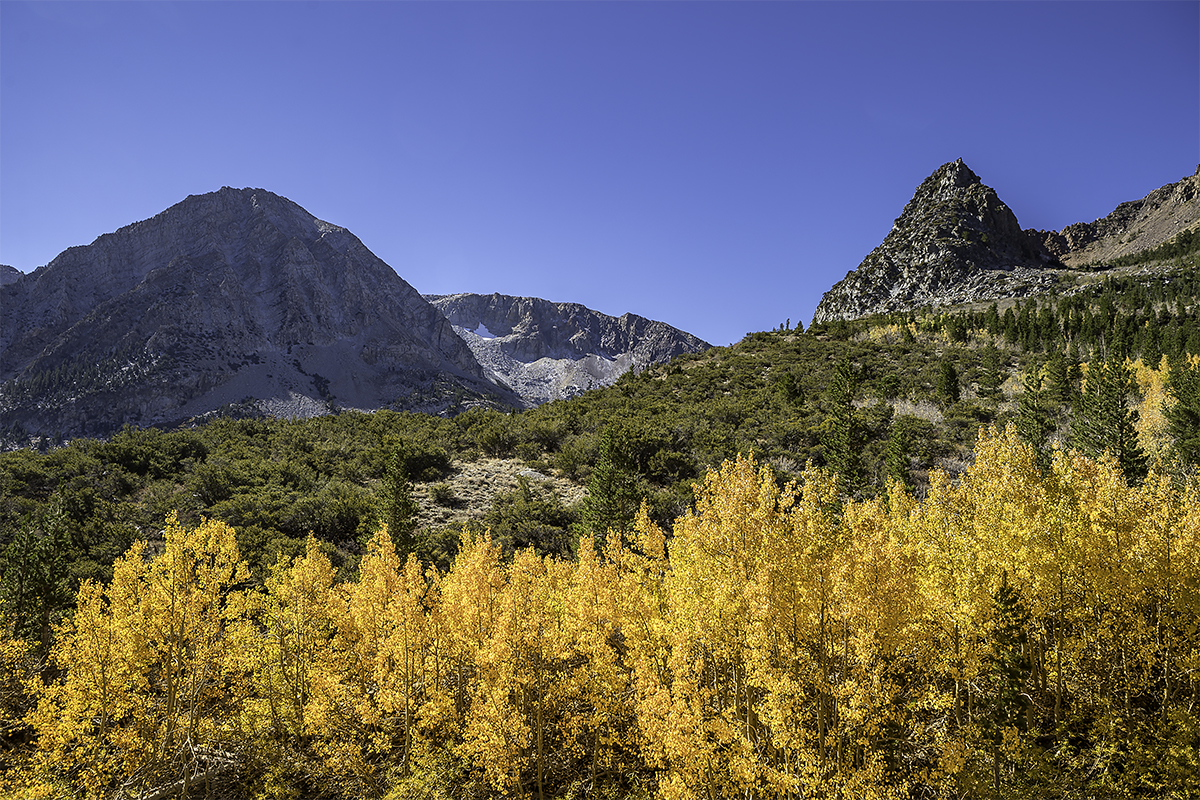 18.10.08-(Eastern-Sierra_Fall-colors)-00601-(int).jpg