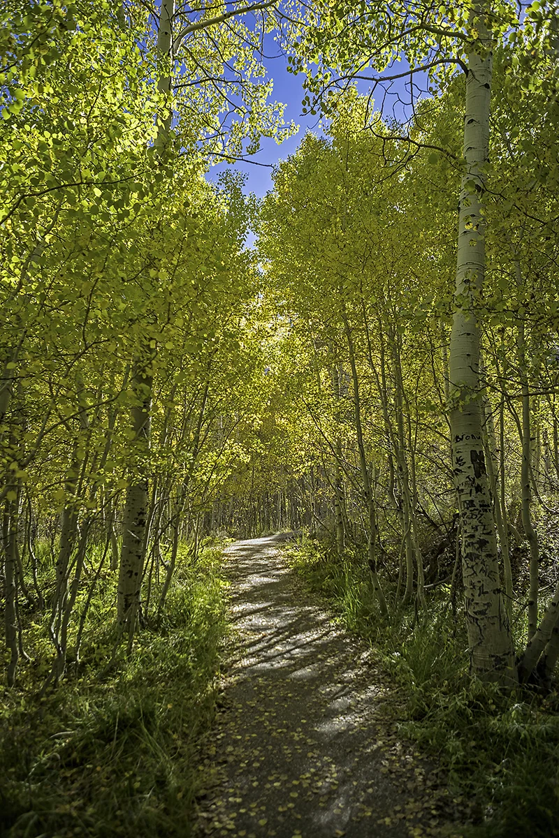 Hiking along Silver Lake puts you in another world.