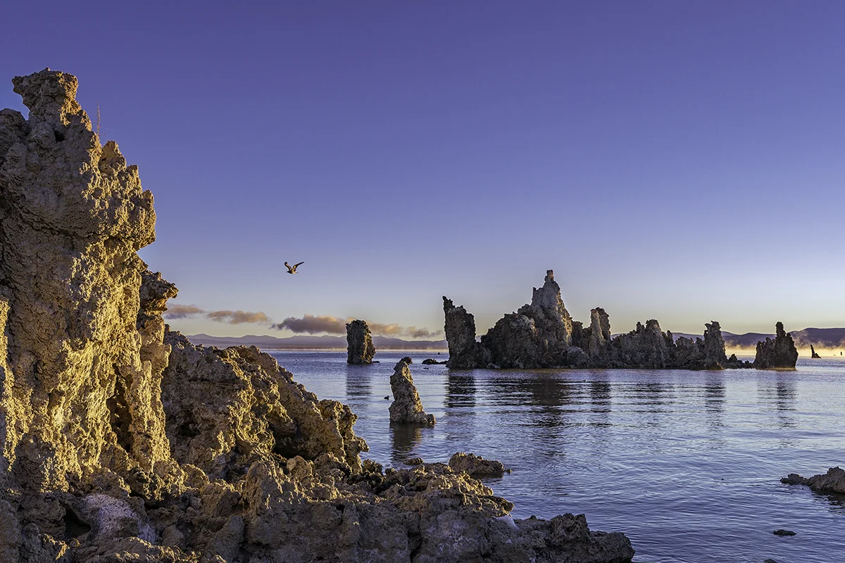 The sun rays hitting the eastern edge of the tufas, lighting up the fog on the water, was enough to make this my favorite capture at Mono Lake... but then came that Osprey, who flew across my frame and was the cherry on top!