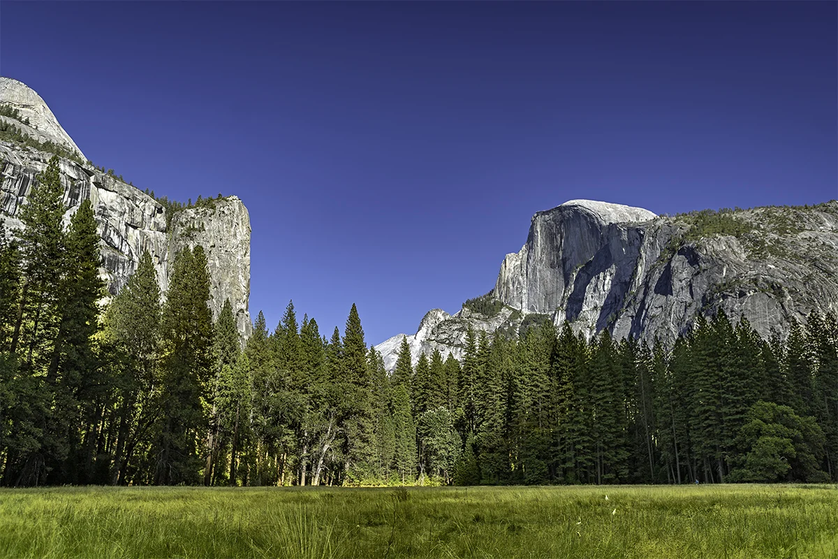 The Royal Arches and Half Dome, as I hike through a meadow.