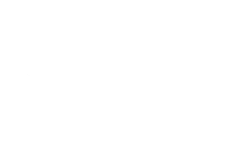 Reel Light Pictures
