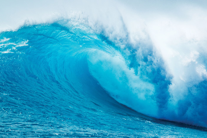 Riding The Energy Wave (Blog #004)