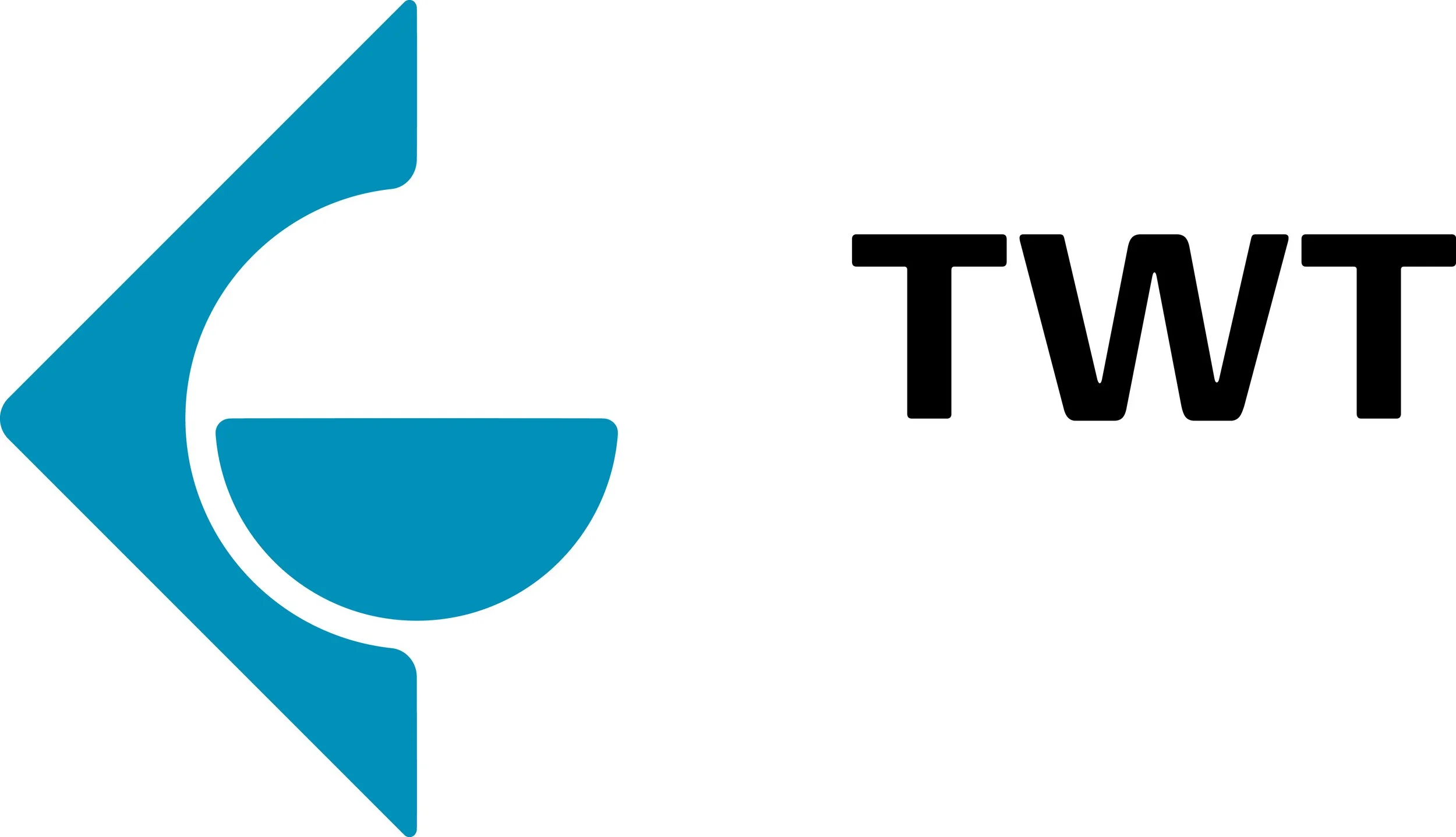 TWT GmbH Logo 1201__TWT_WB_P313c_205mm--1-.jpg