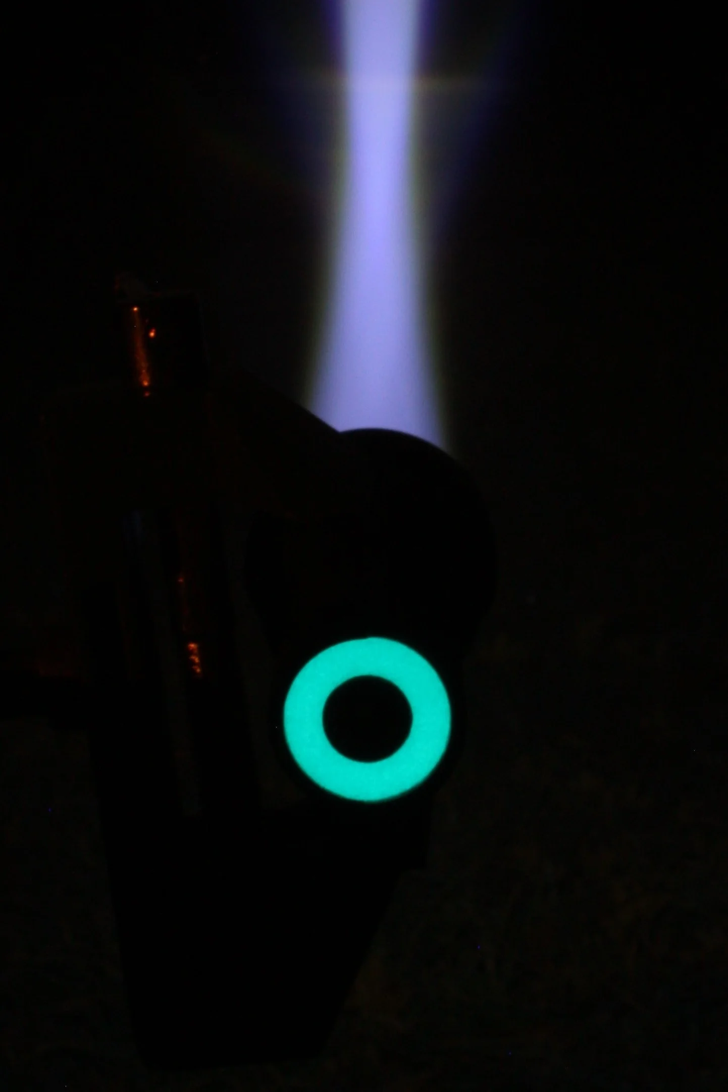 Tailring Cropped.JPG