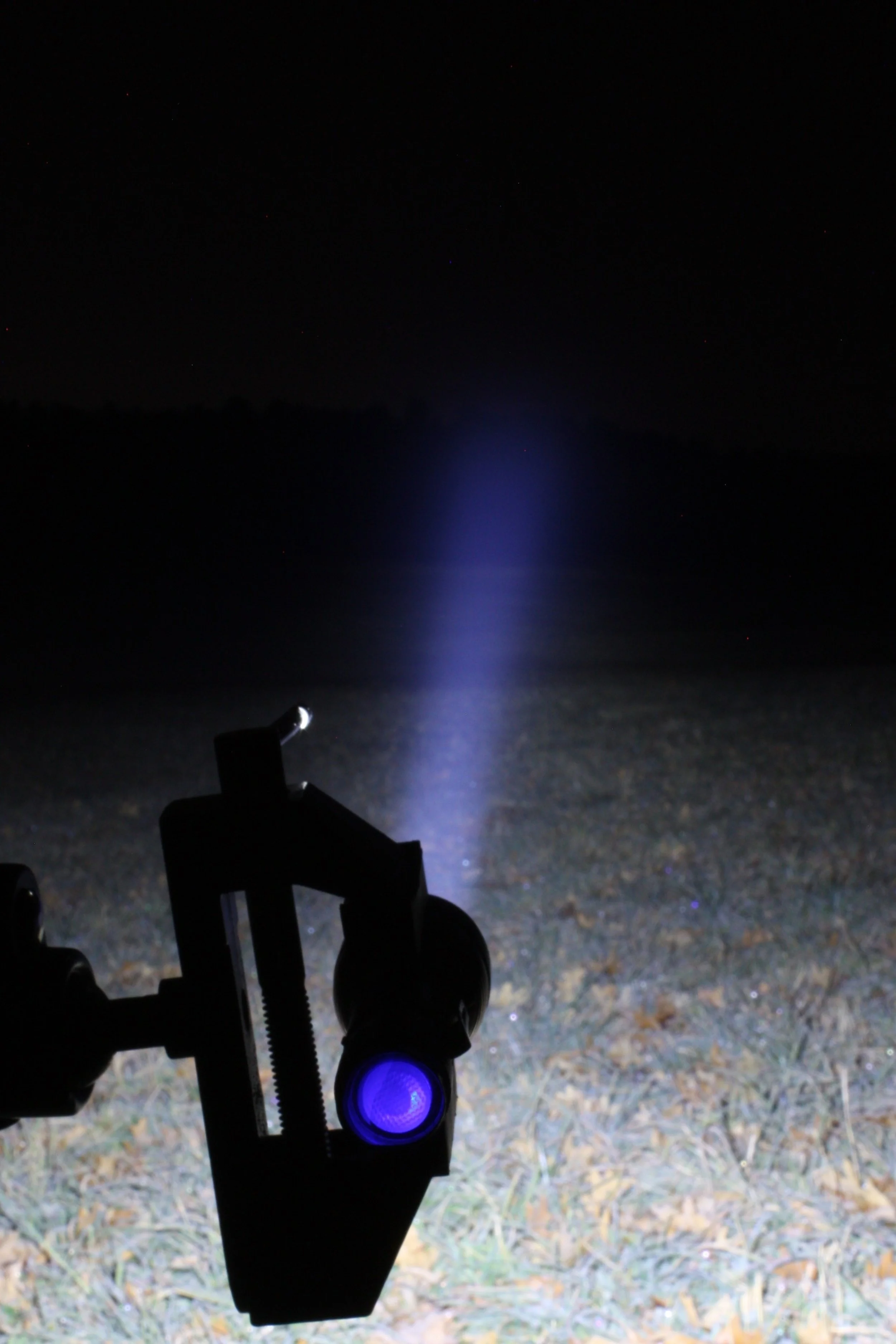 IMG_8585 cropped.JPG