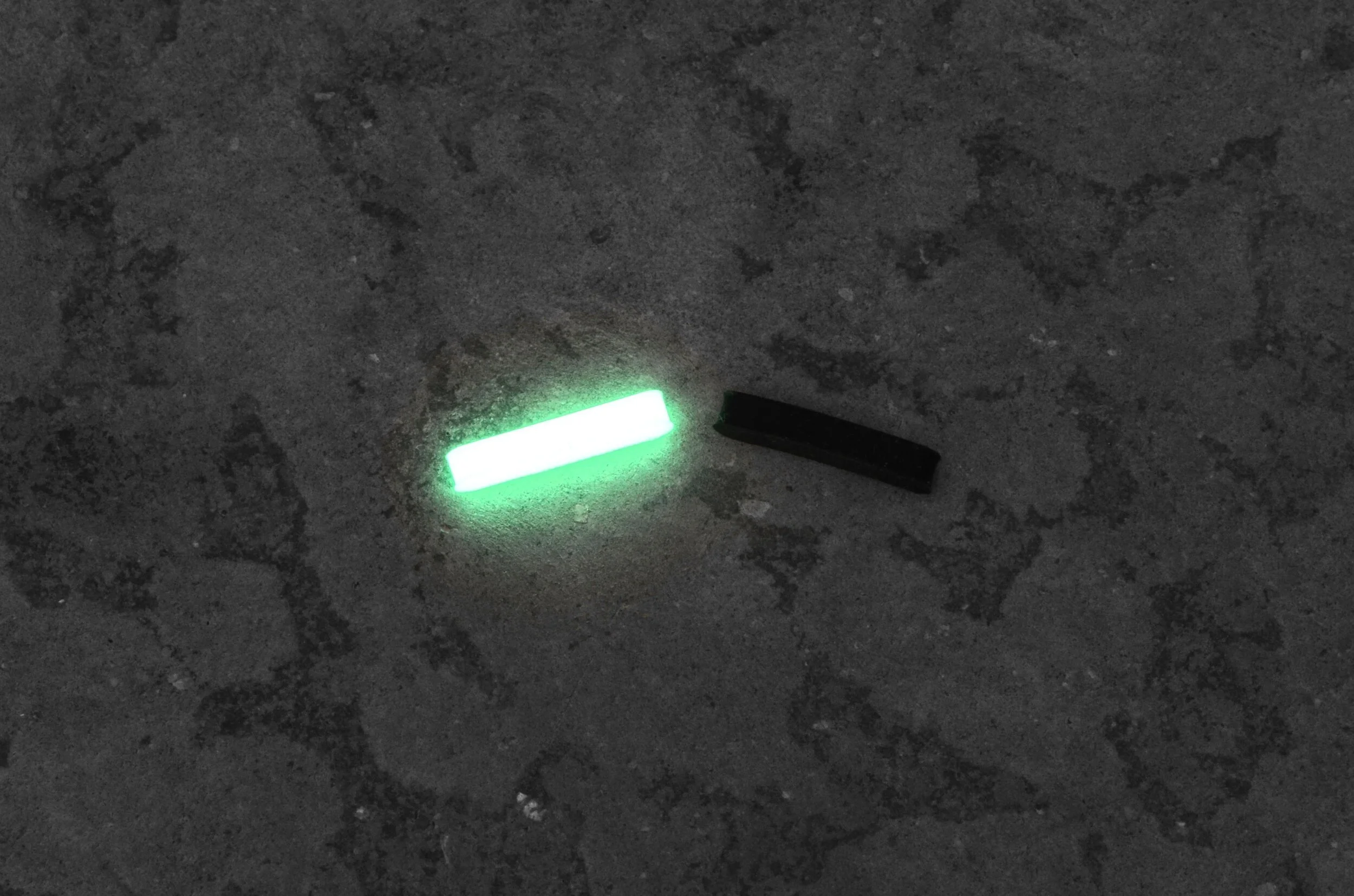 DSC_6200Ecropped.JPG
