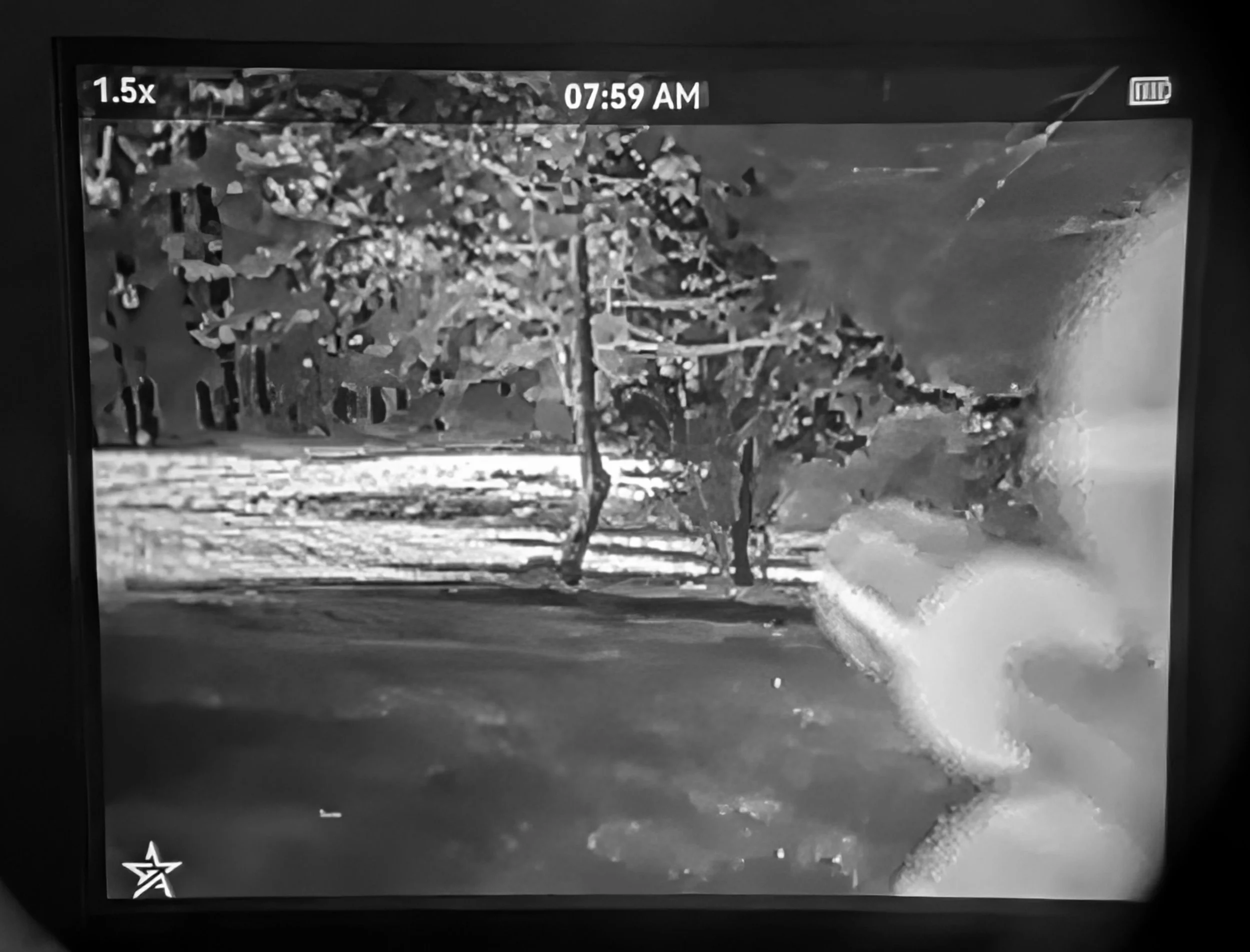 PXL_20250829_172336954.MP.jpg