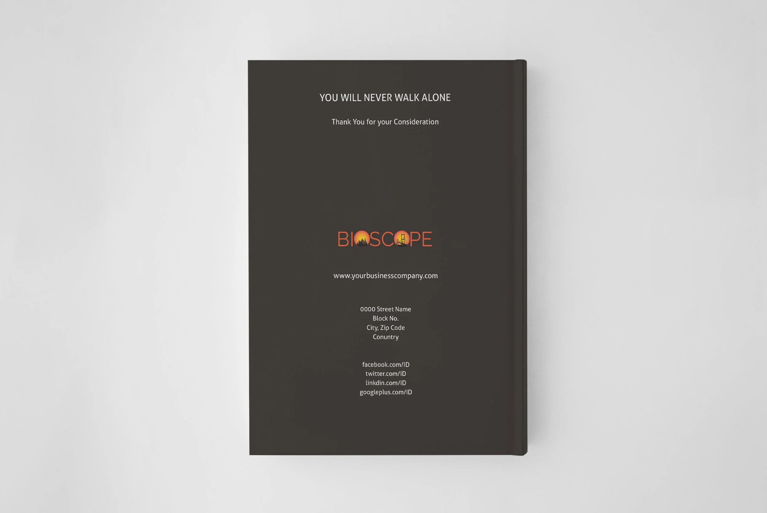 v-book-proposal3.jpg