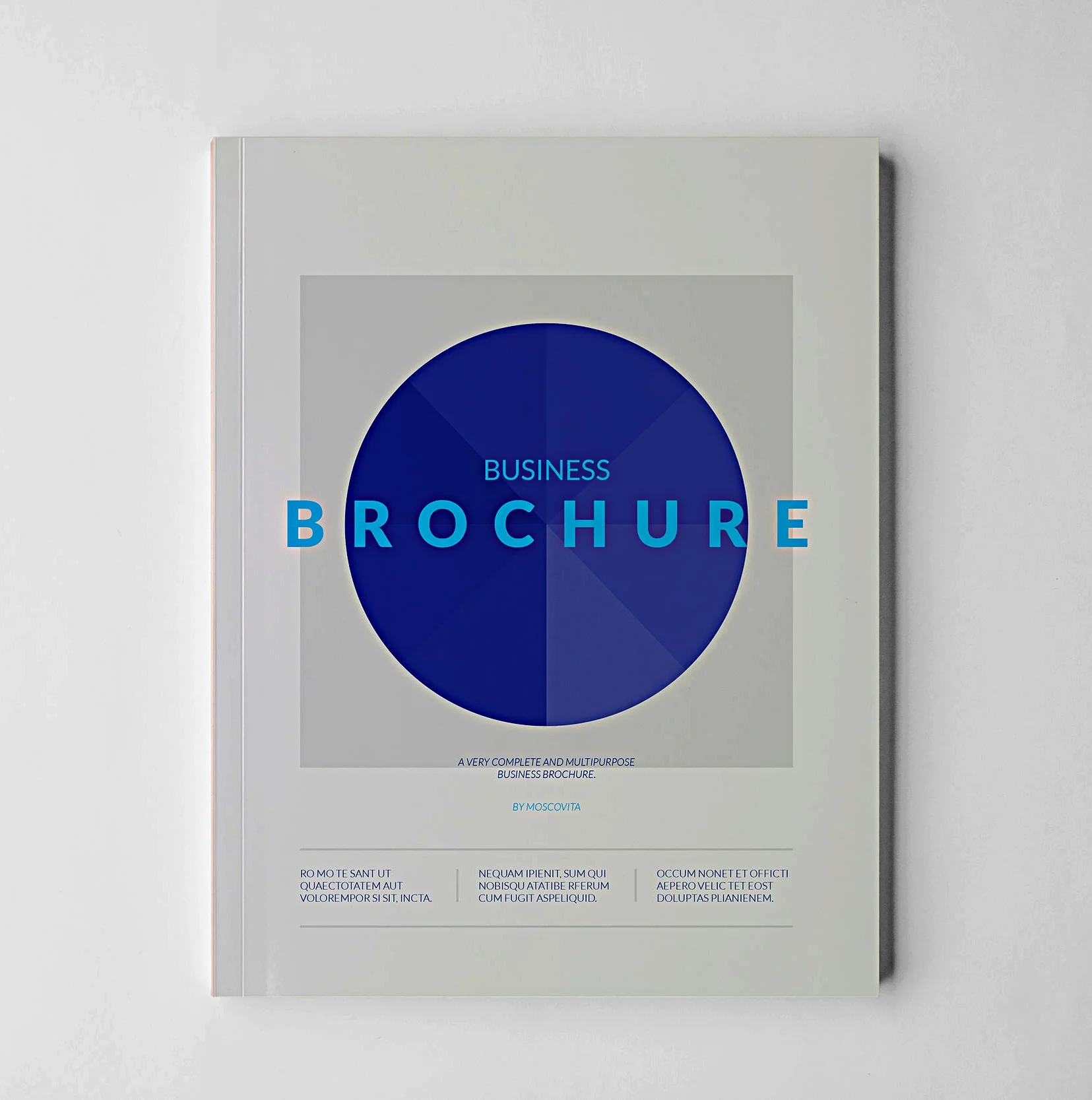 Video In Print Brochure-7" LCD