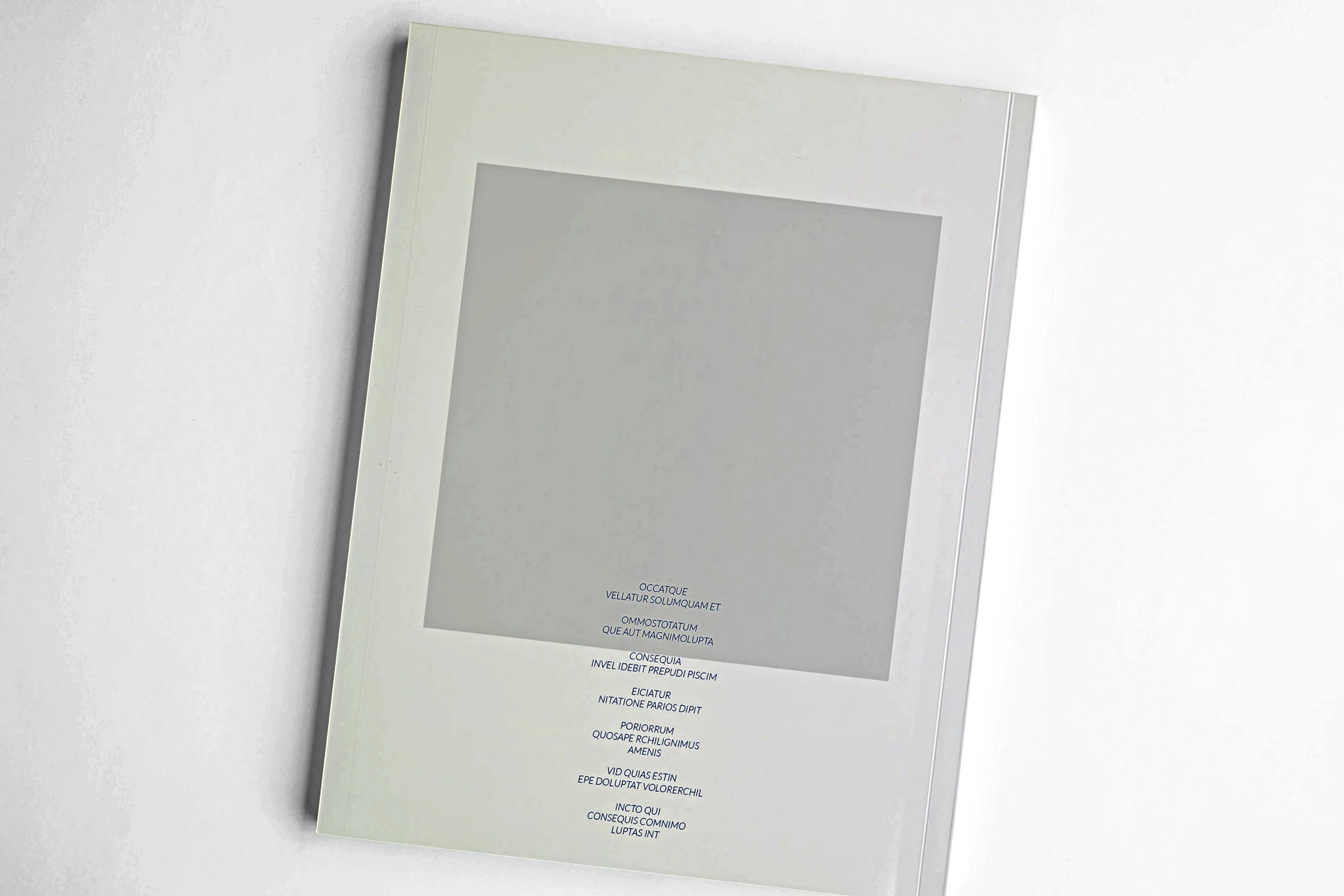 Video In Print Brochure-7" LCD