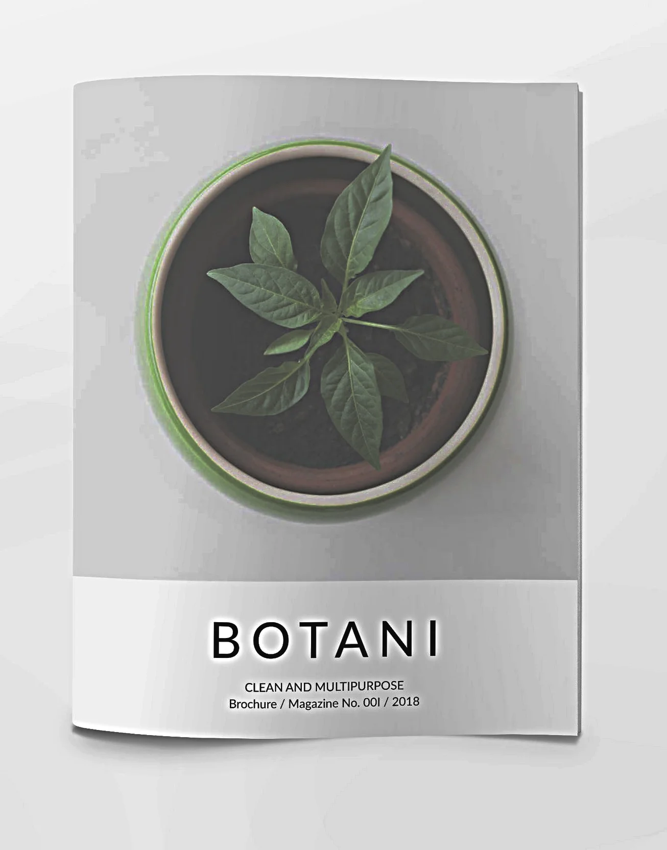 Brochures in Las Vegas-www.printflix.net