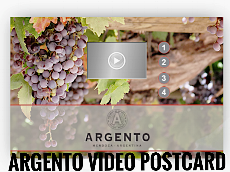 ARGENTO VIDEO IN PRINT POSTCARD