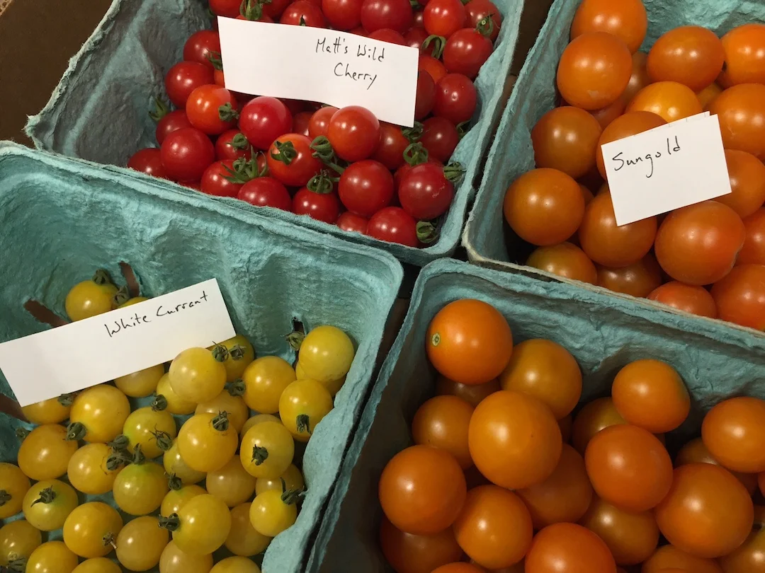 Midsummer's Farm Report