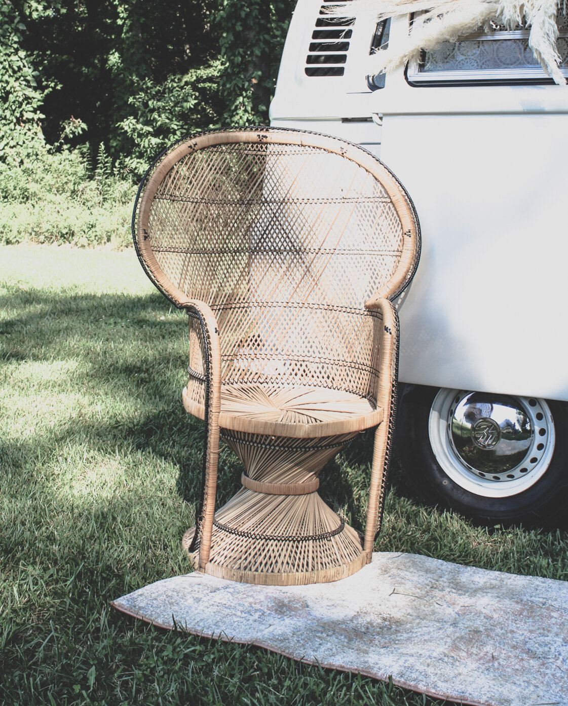 Peacock chair