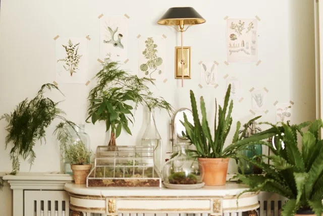 Zalando_Summerhouse_258.jpeg