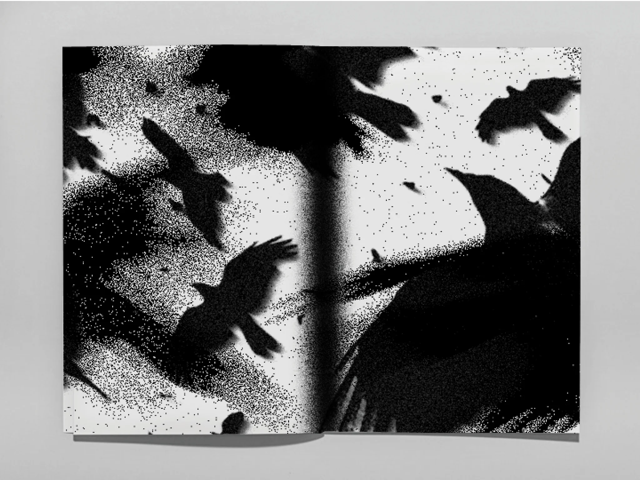 THE BIRD_5.jpg