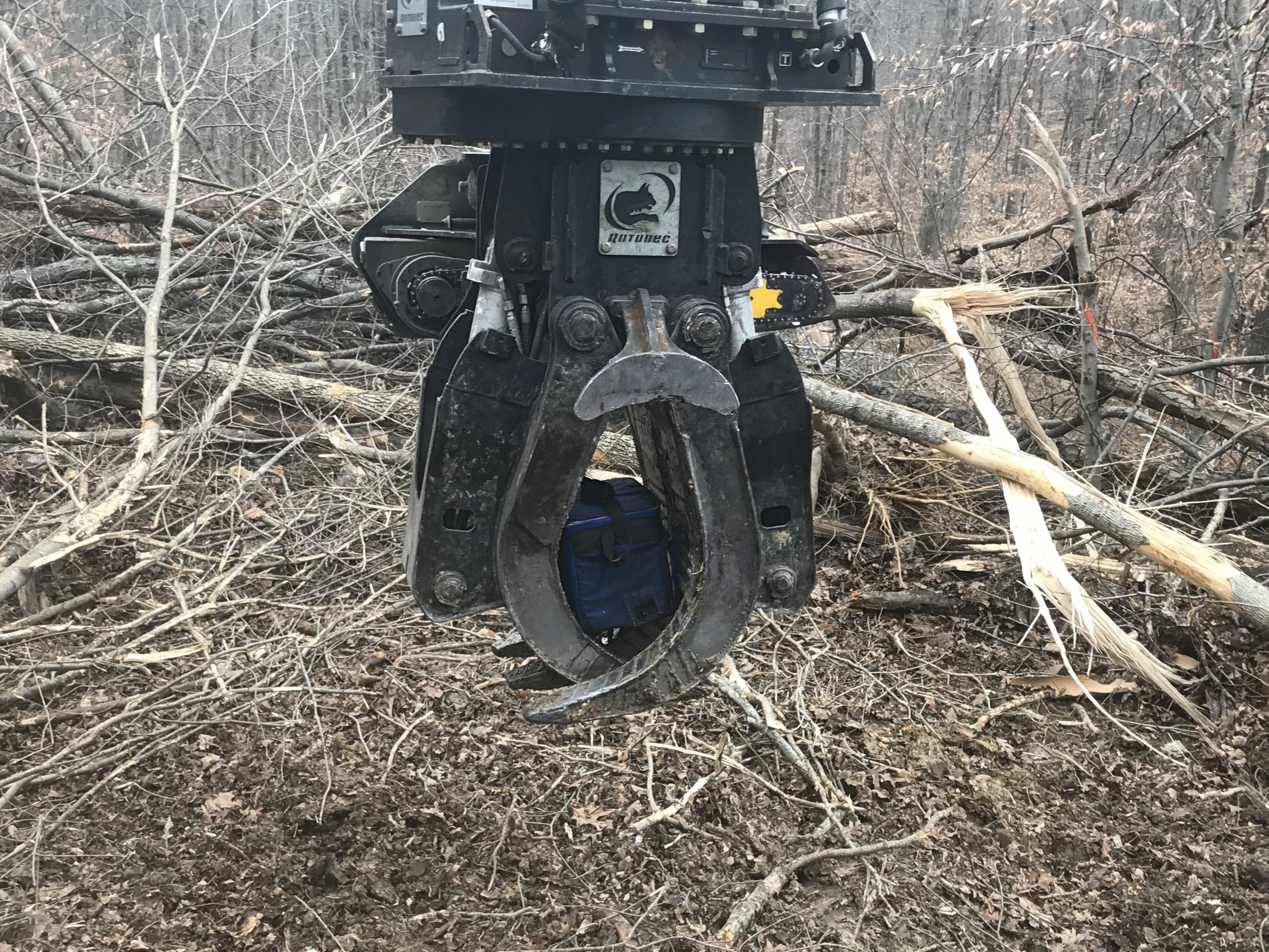 Home — Logger Wade
