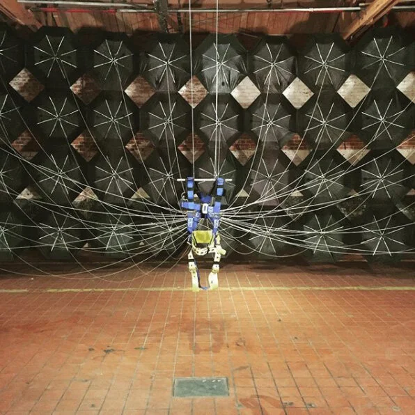 Exhibition Photos Not Available