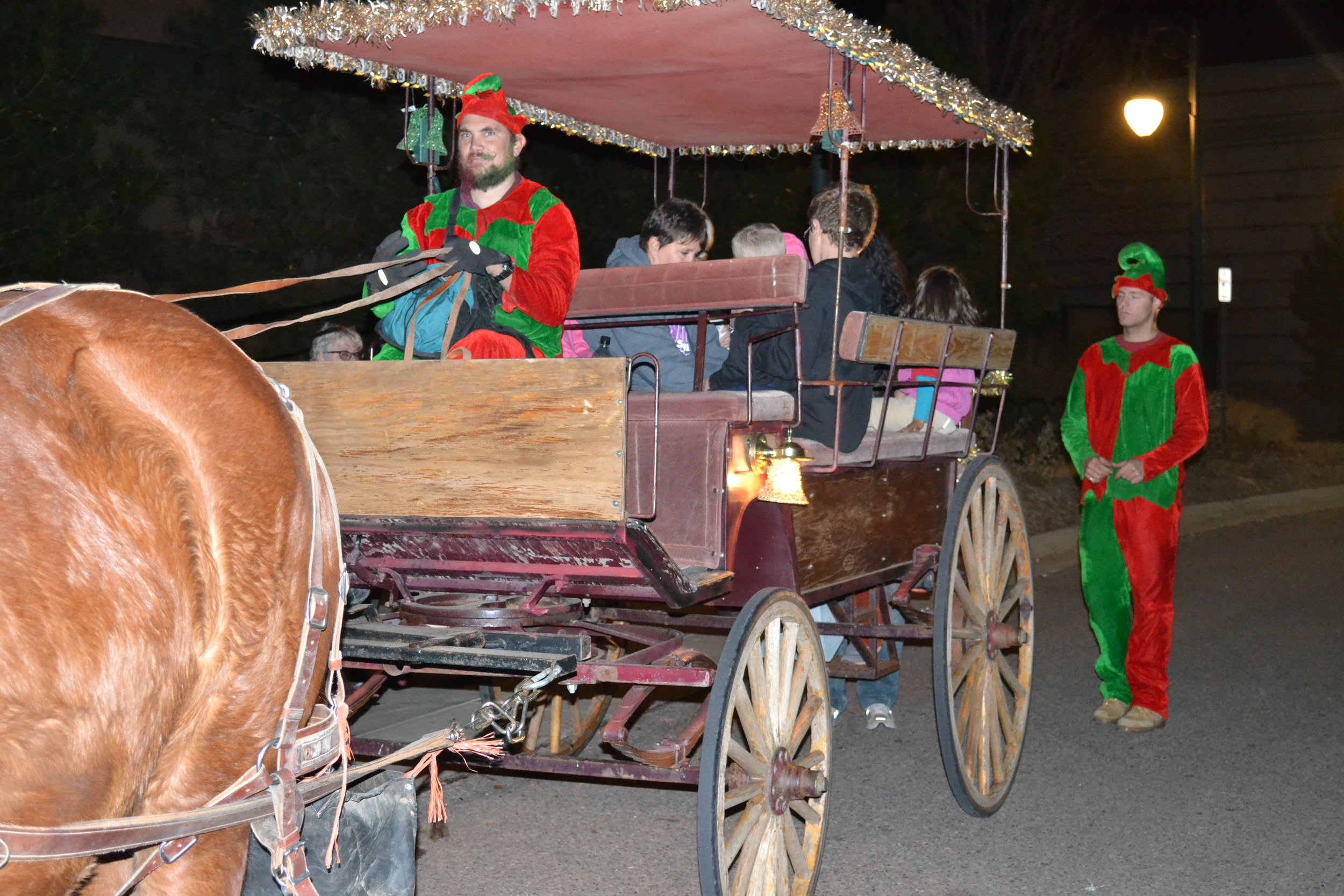 Holiday Horse Drawn Wagon or Sleigh Rides   (5).JPG