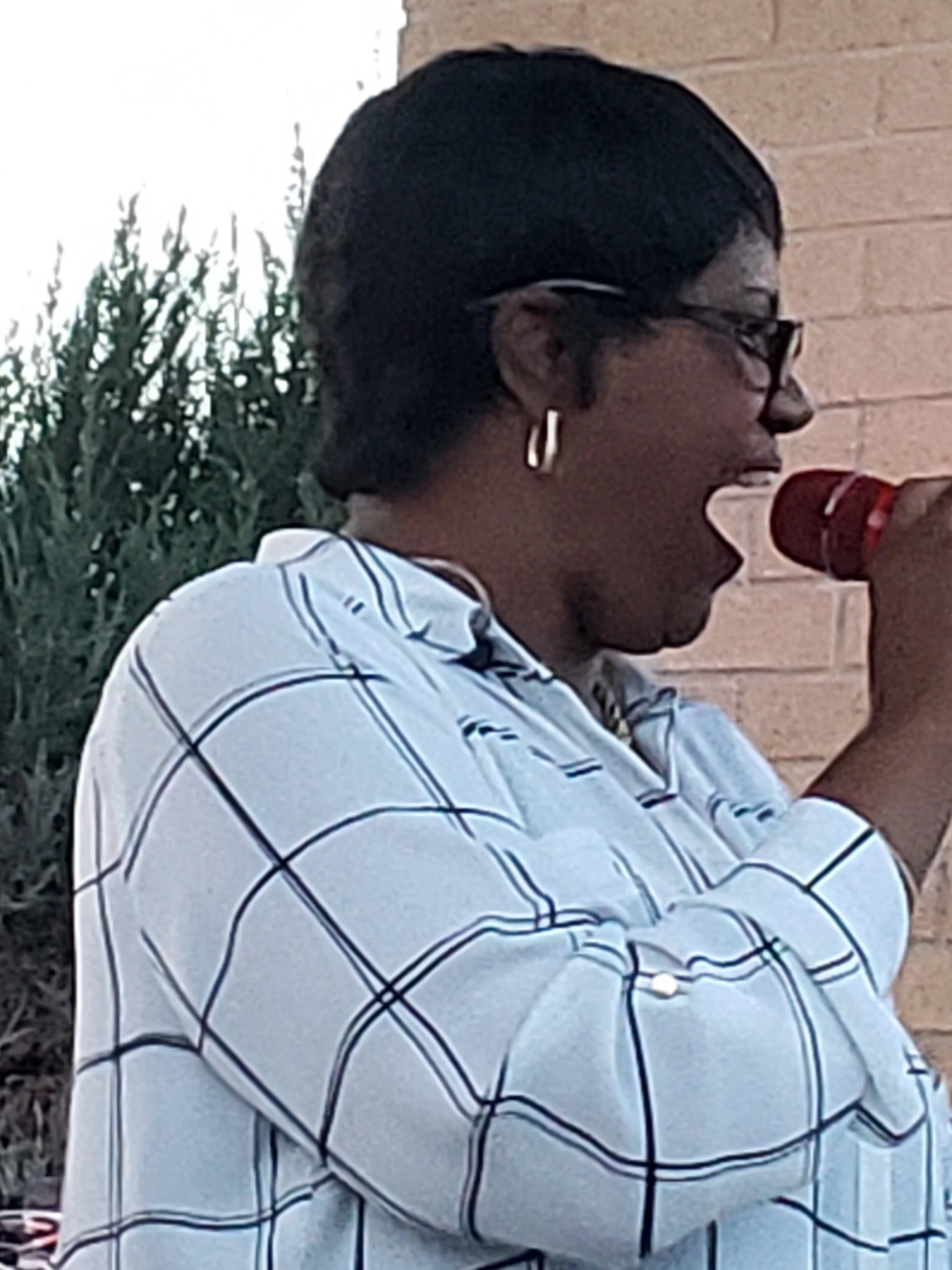 GVR - Linda Styles Concert (41).jpg