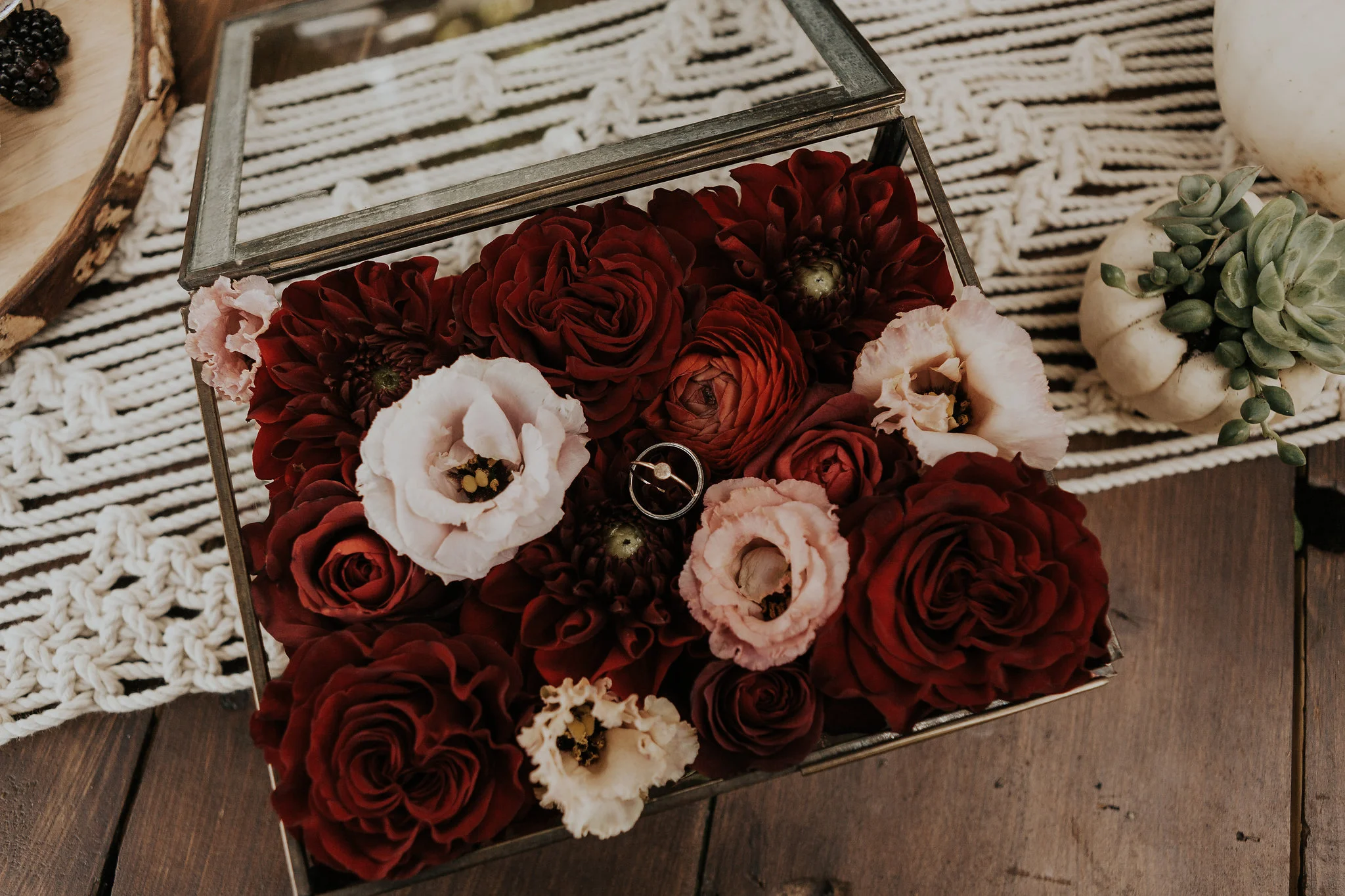 SarahOliviaPhoto-6771.jpg