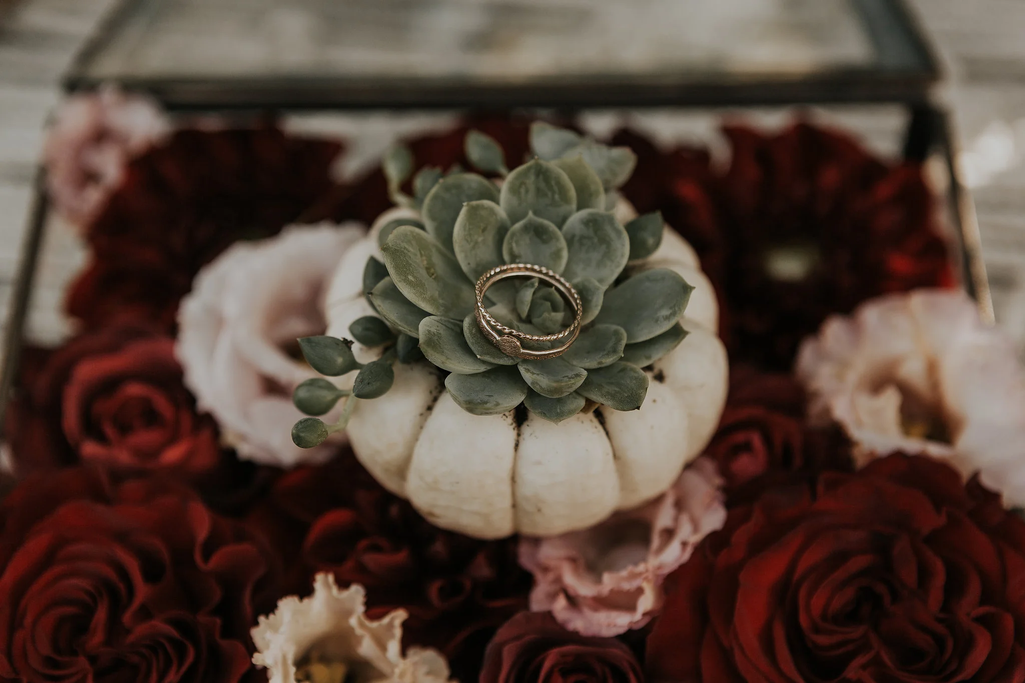 SarahOliviaPhoto-6805.jpg