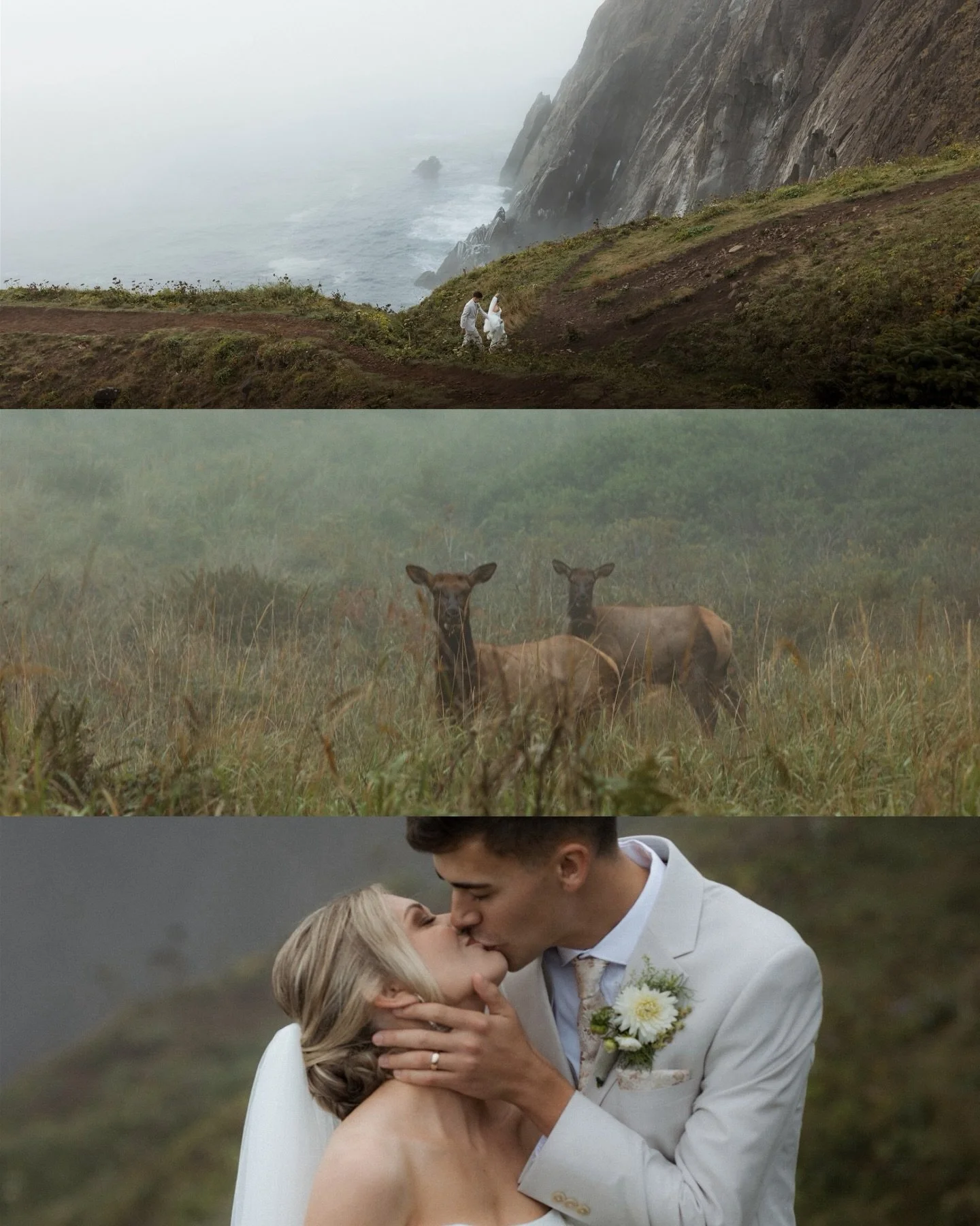 Landscapes from the moodiest of weather on the Oregon coast, which opened up to one of the best sunsets I&rsquo;ve seen while photographing an elopement. Followed by dinner in a beachside airbnb full of their closest family and friends. 
Truly magica