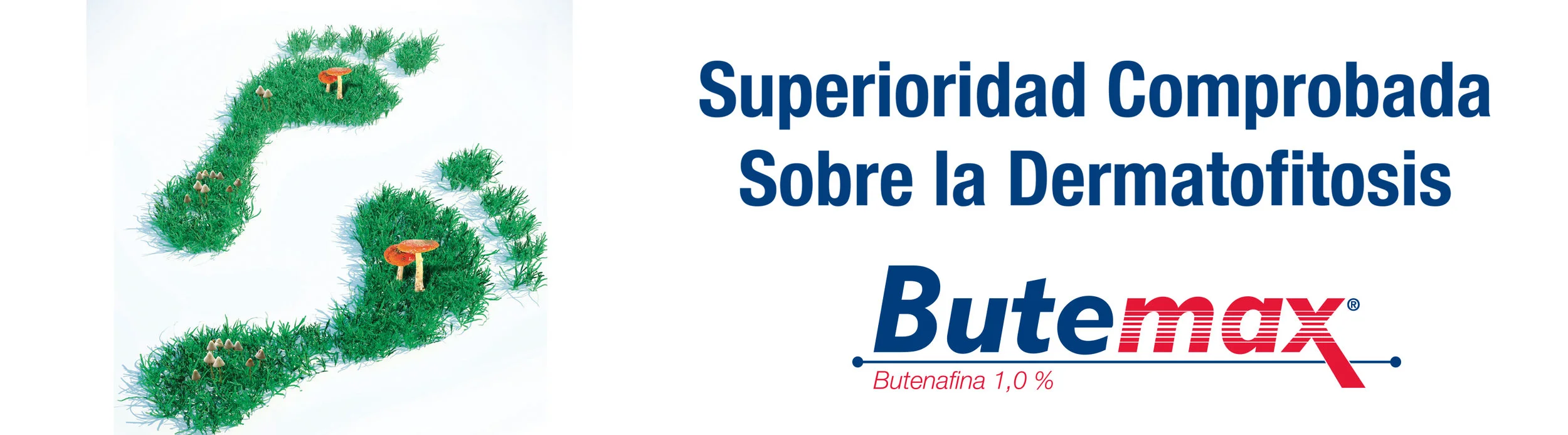 Banner Butemax