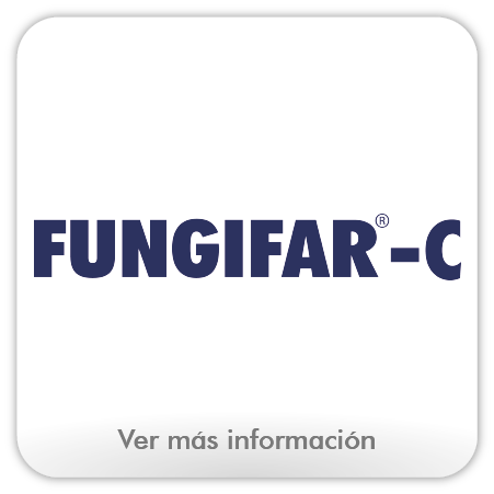 Línea OTC-16.png