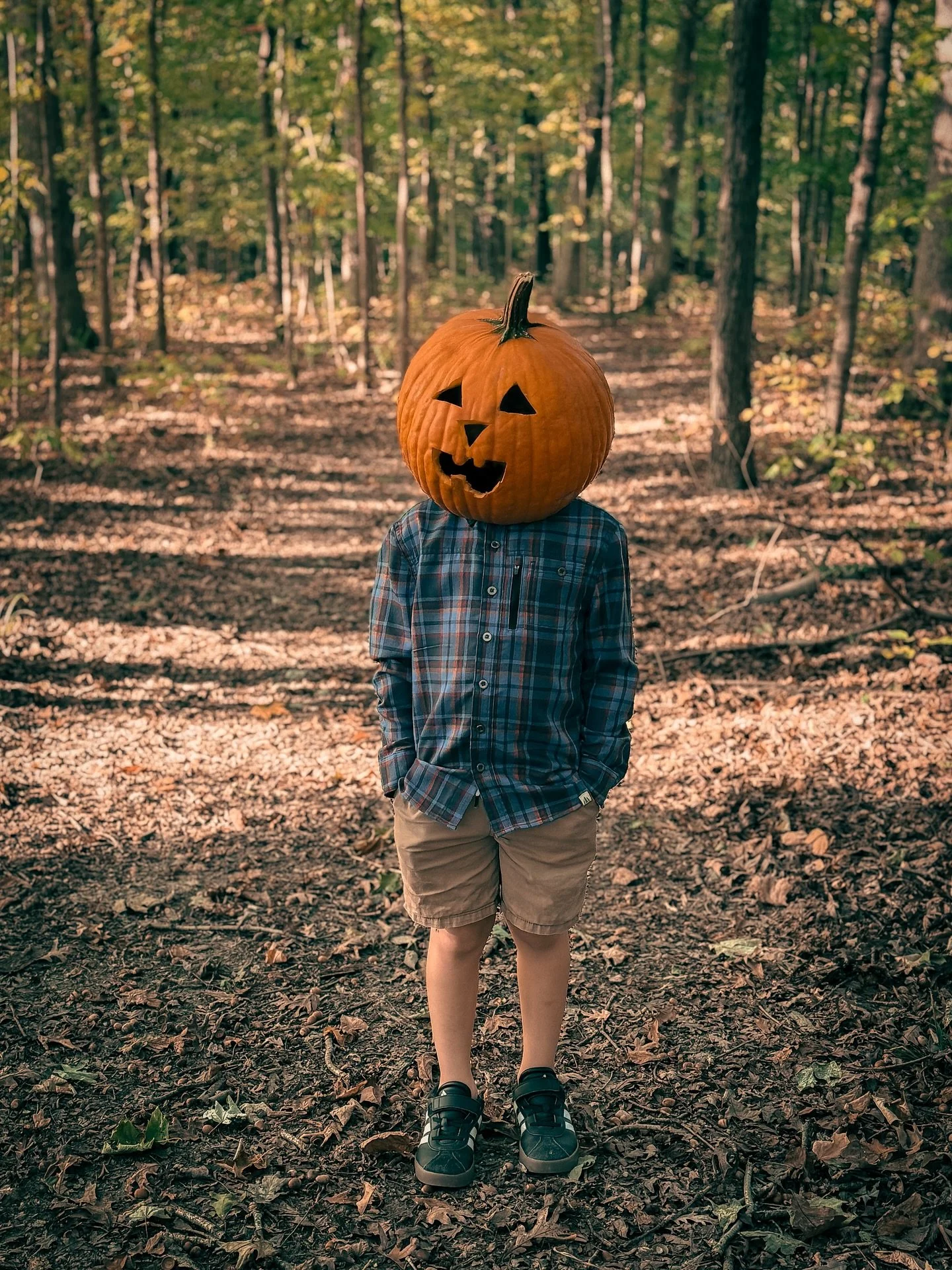 Ryder has always said he was sad I never put him in a pumpkin as a baby since he was born at the end of November,  so I put his head in one to make up for it. ๐คฃ๐ Then of course the girls had to get in on the fun too! ๐งก